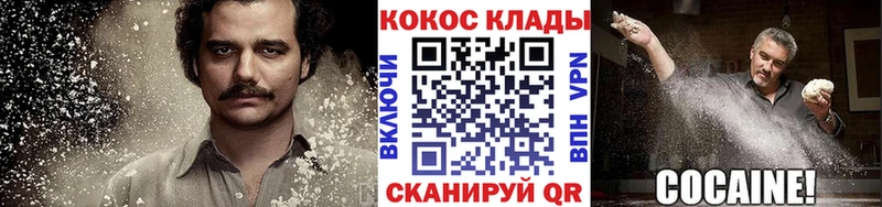 Купить закладки  Жердевка  Кокаин Fish Scale 
