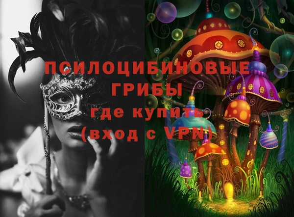 твердый Дмитровск