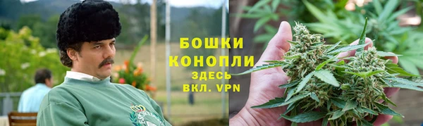 твердый Дмитровск