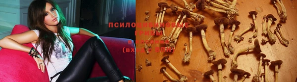 твердый Дмитровск