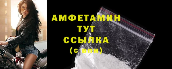 твердый Дмитриев