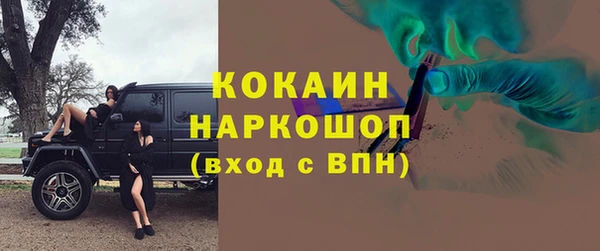 твердый Дмитровск
