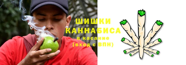 твердый Дмитриев