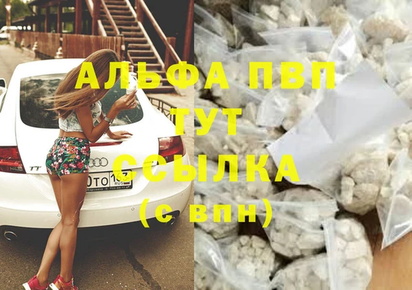 эйфоретик Дмитров