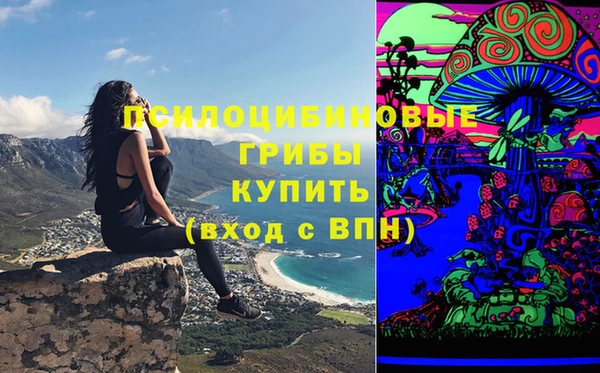 твердый Дмитриев