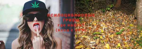 твердый Дмитровск