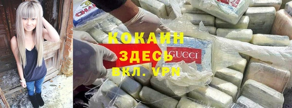твердый Дмитриев