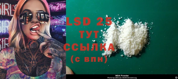 твердый Дмитровск