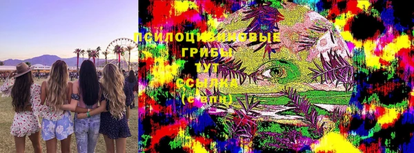 твердый Дмитриев