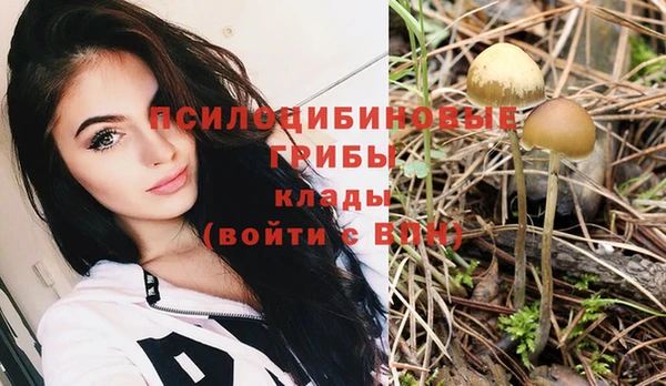 твердый Дмитриев