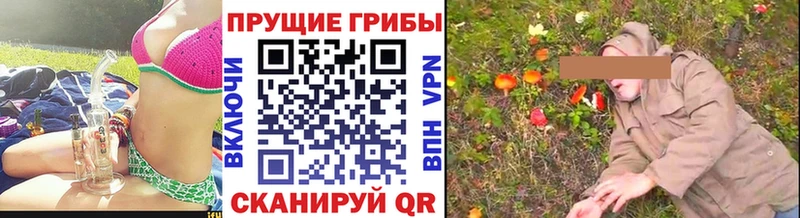 Купить  Жердевка  Галлюциногенные грибы ЛСД 